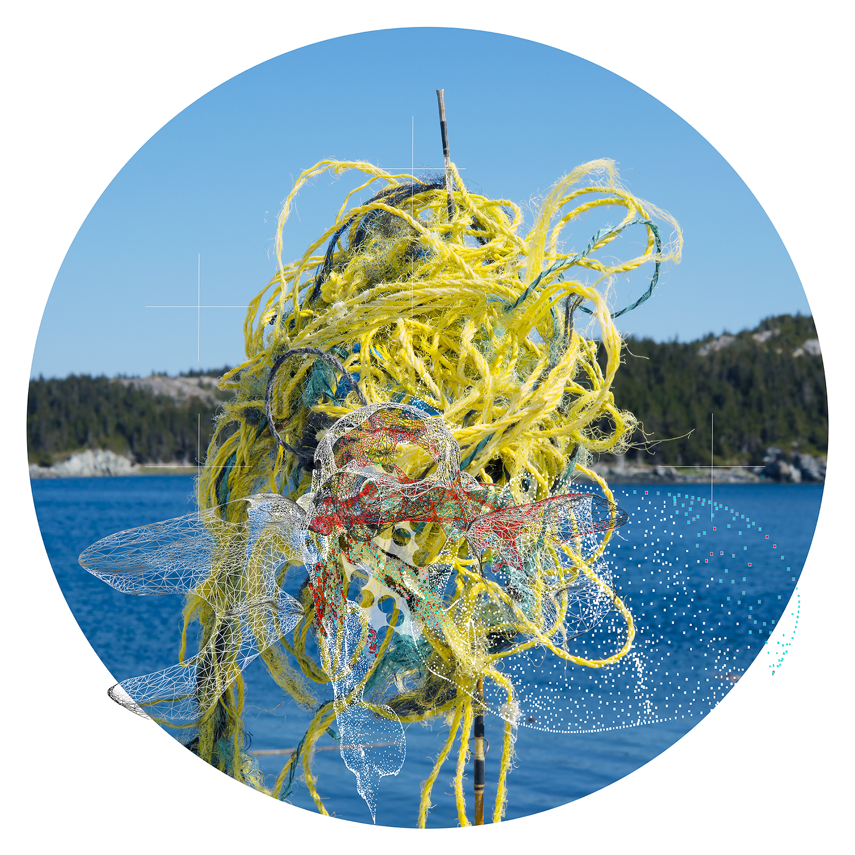 Circularity Andy Hughes