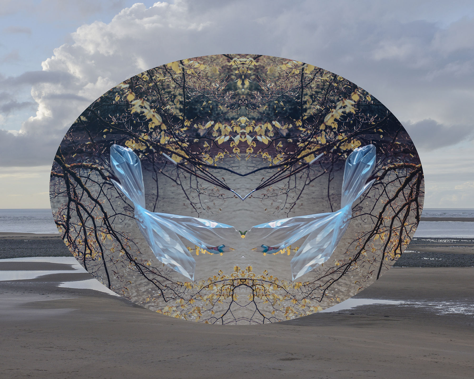 Torridge Estuary Andy Hughes