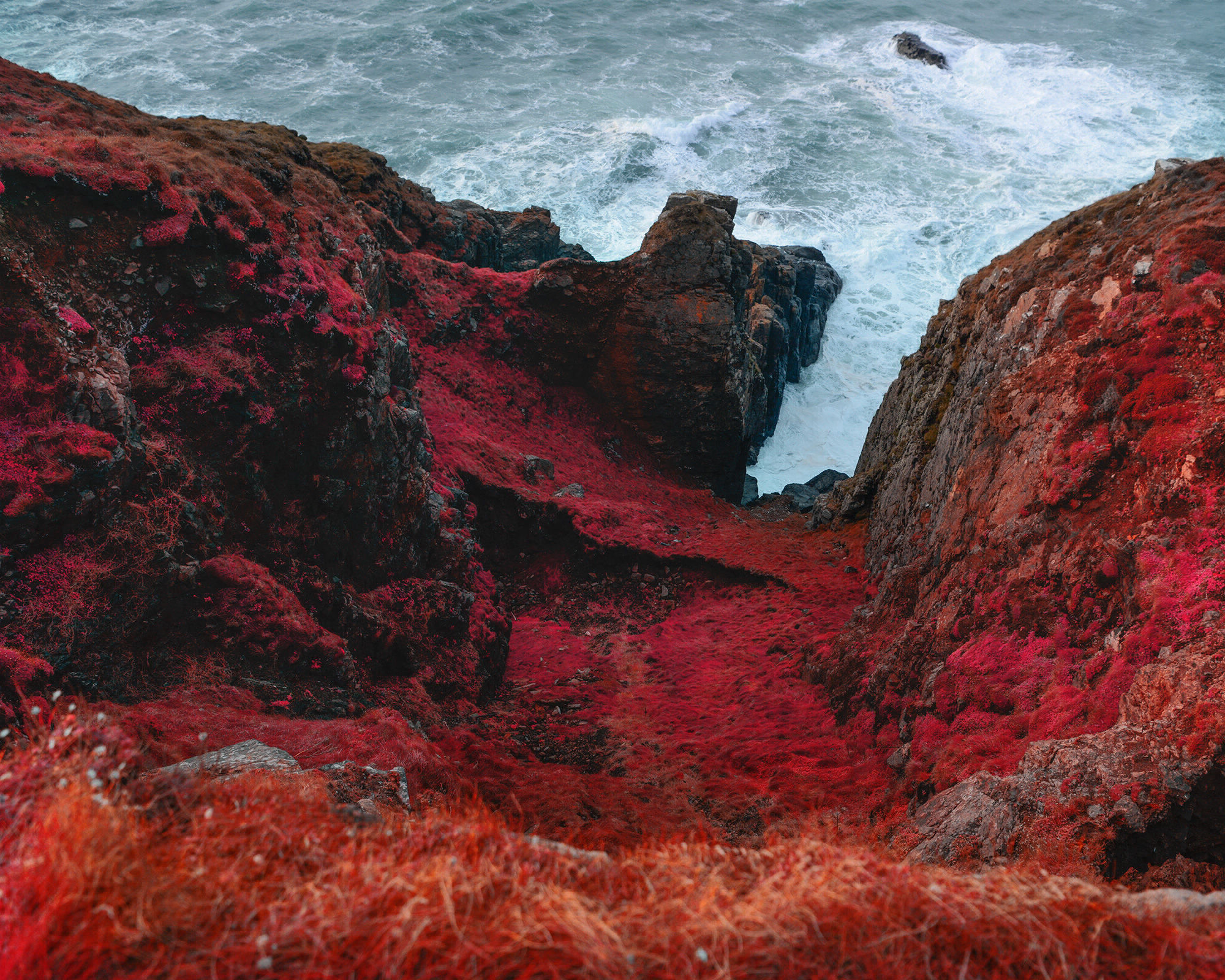 Red Creeper Andy Hughes