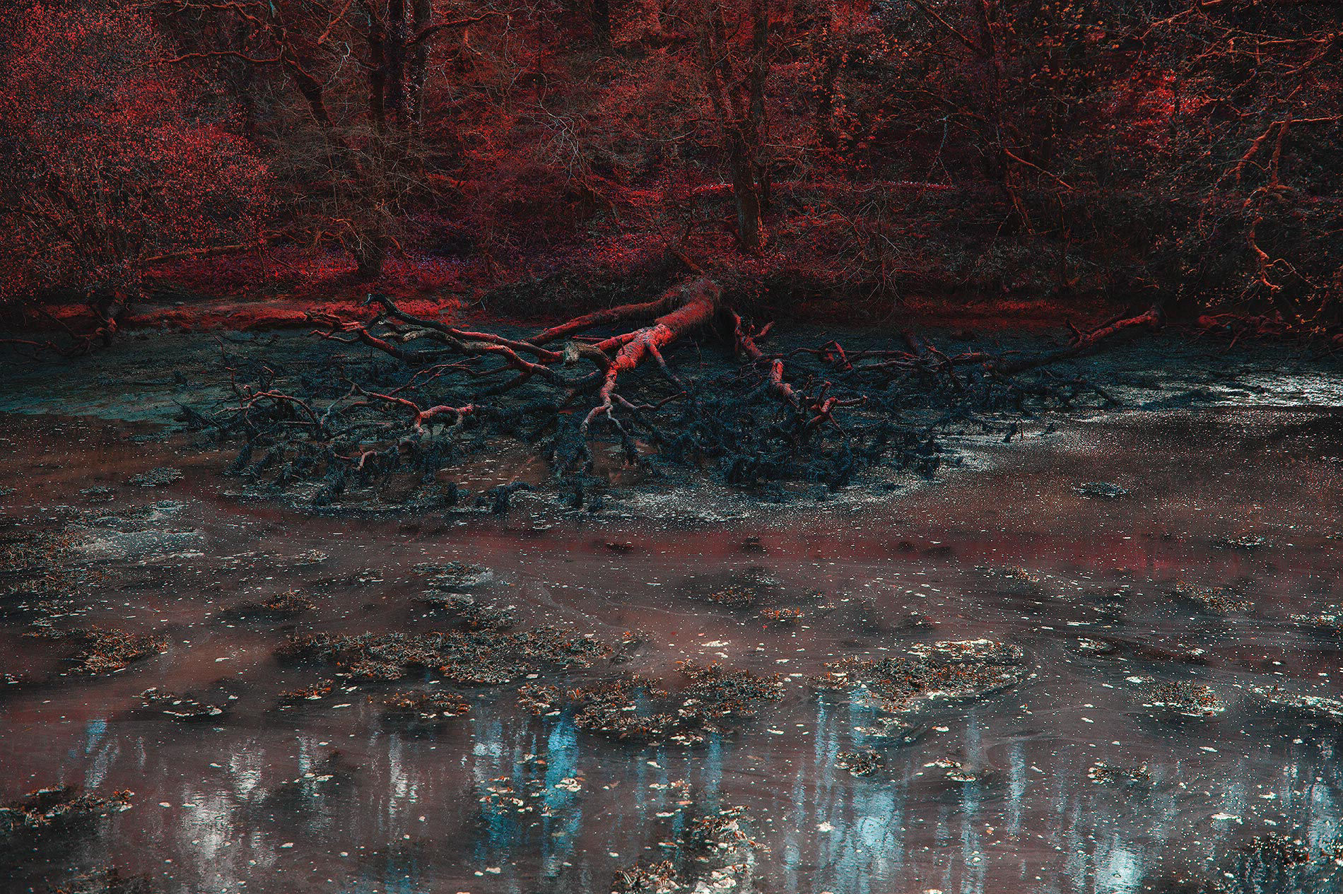 Red Creek Andy Hughes