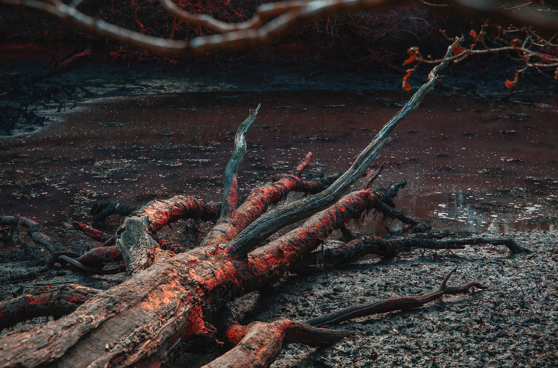 Red Creek Andy Hughes