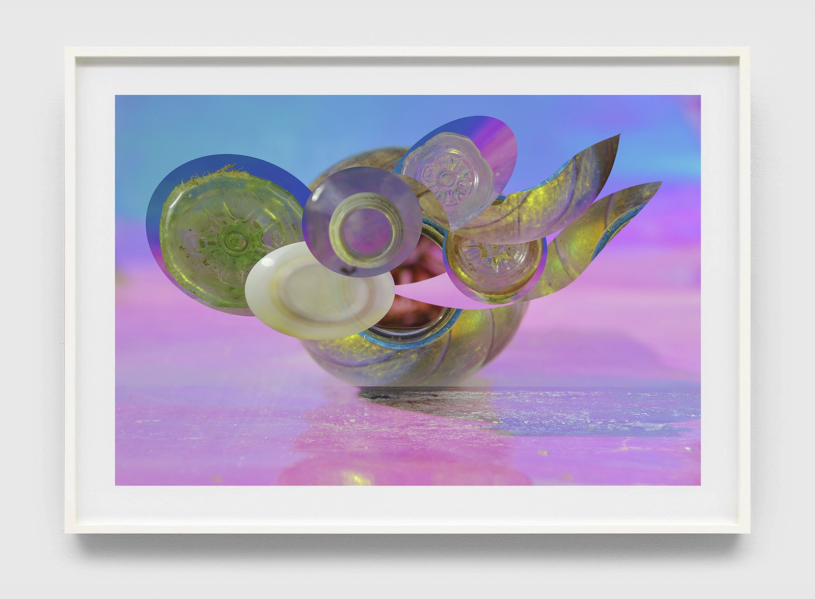 Magnolia Print Sale