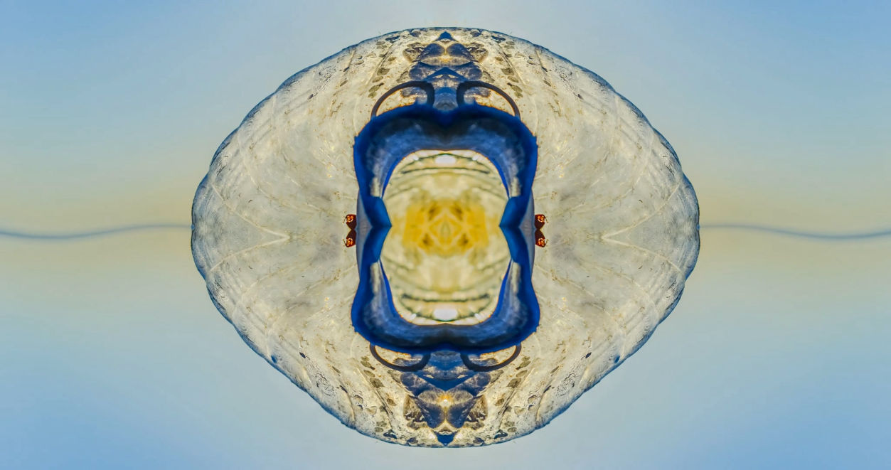 Andy Hughes Sea Shimmer Sketch