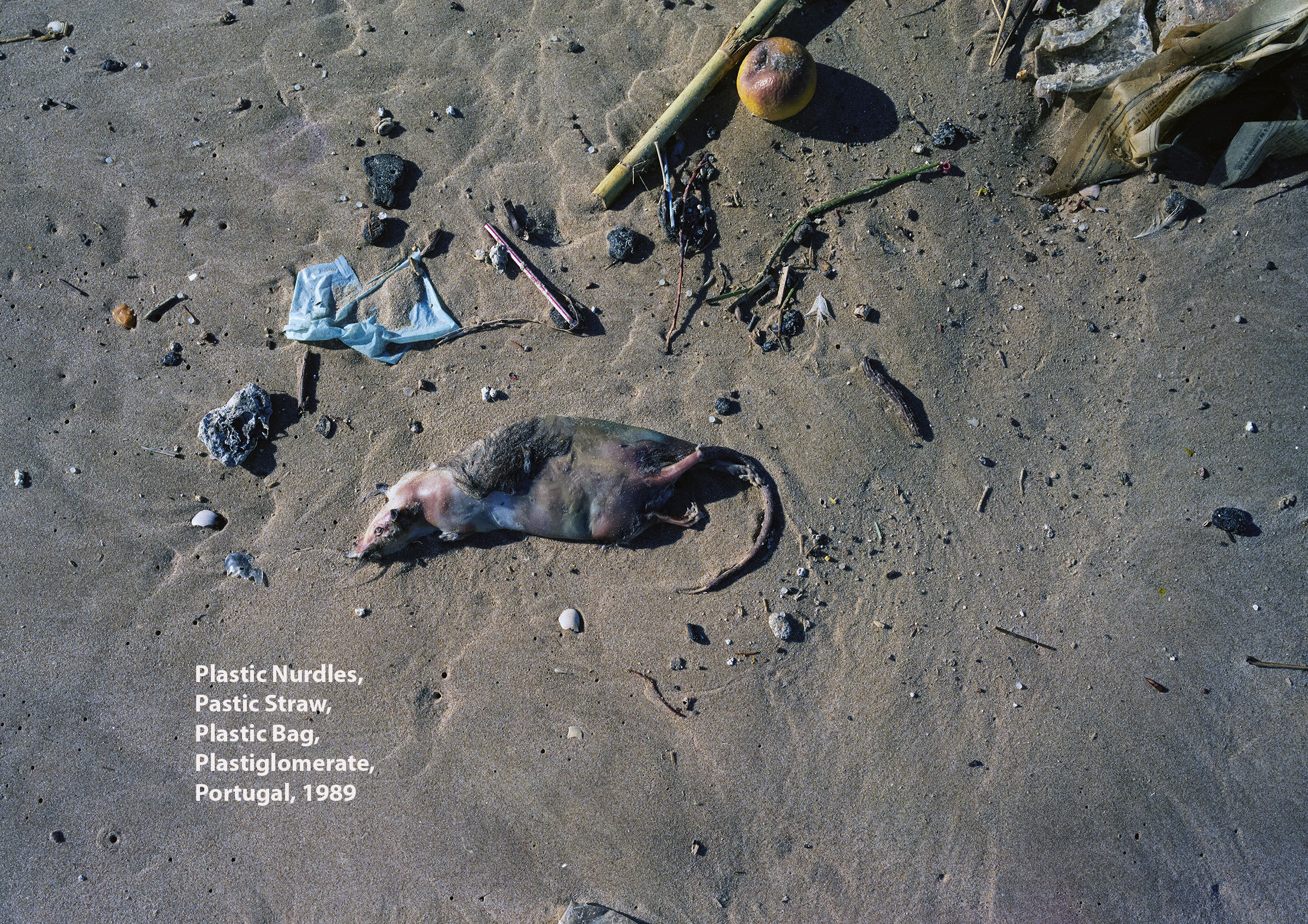 Plastic Waste