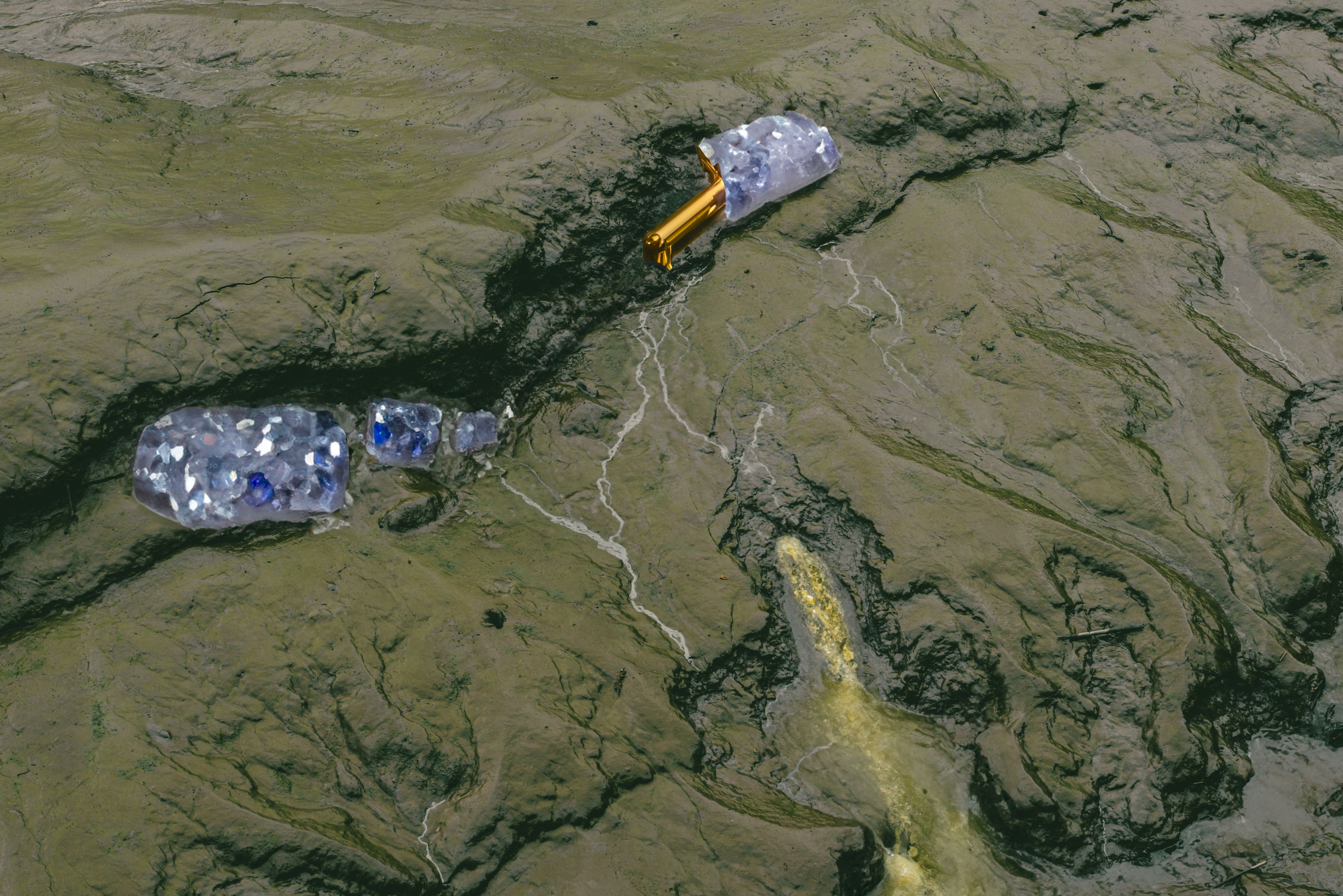 Torridge Estuary Andy Hughes