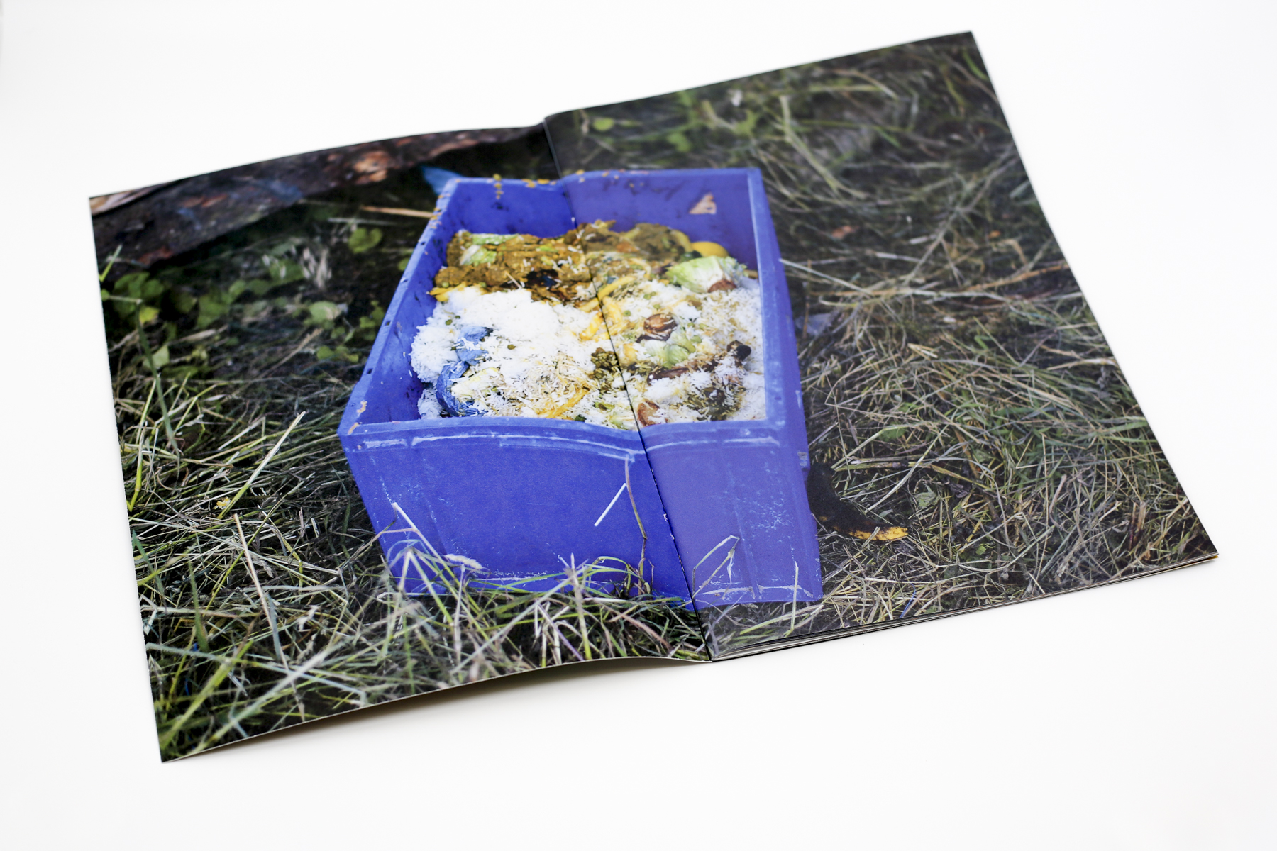 Glastonbury Opus | Andy Hughes