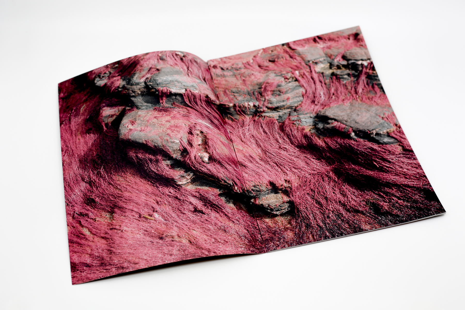 Red Creek Zine