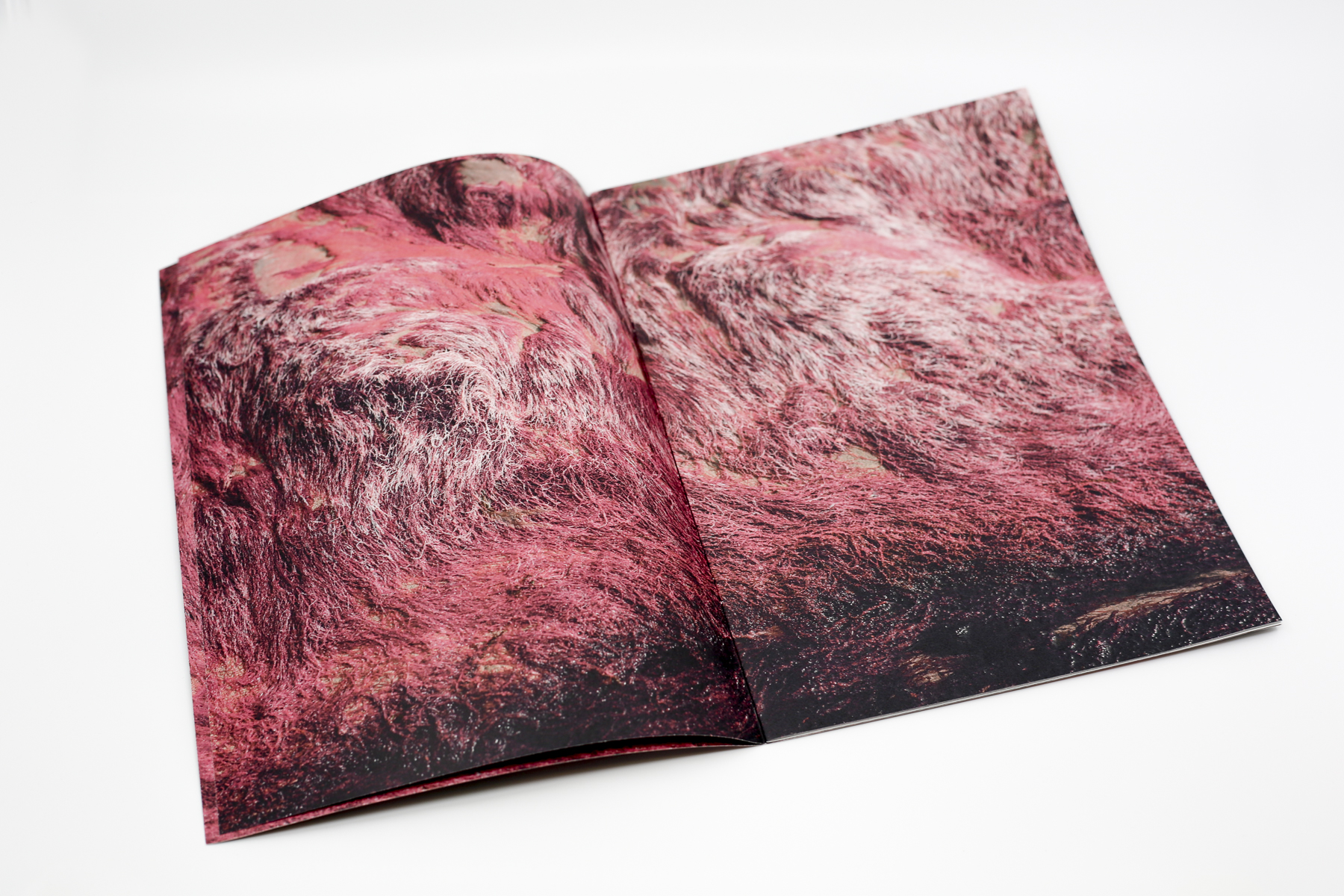 Red Creek Zine