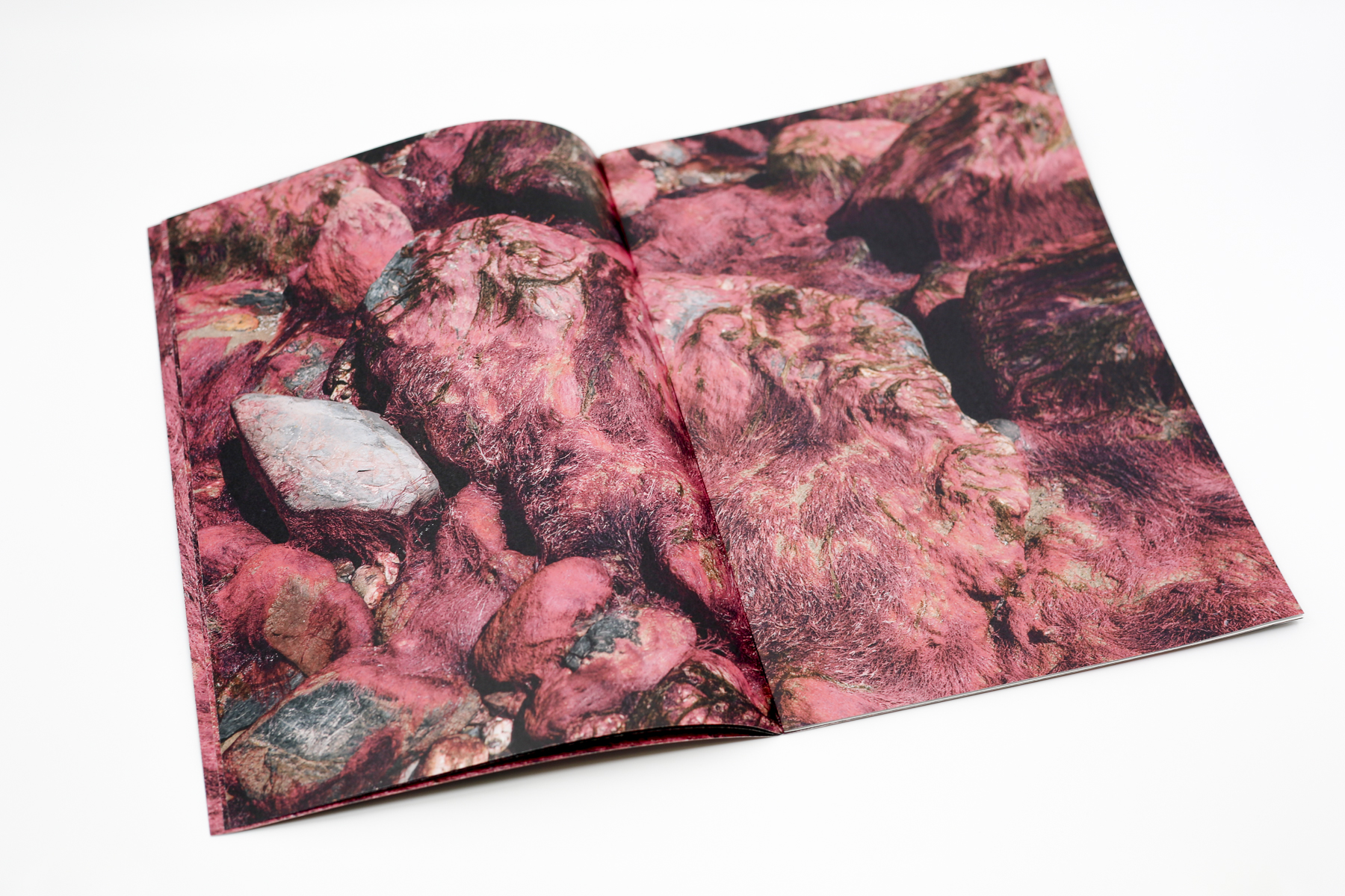 Red Creek Zine
