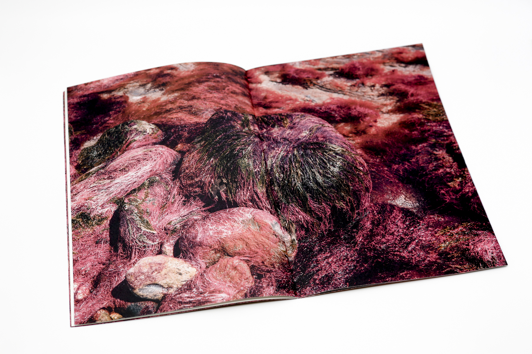 Red Creek Zine
