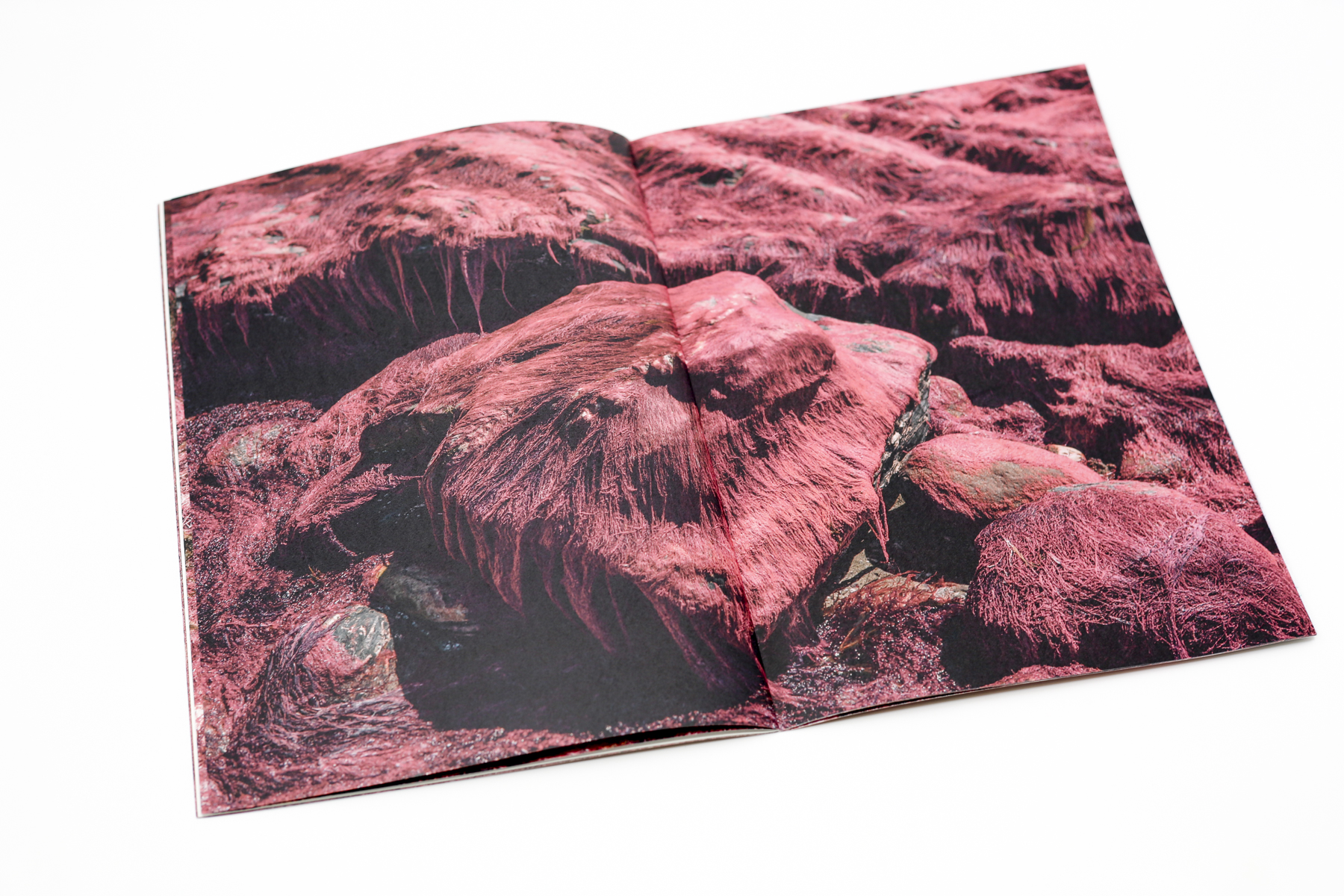 Red Creek Zine