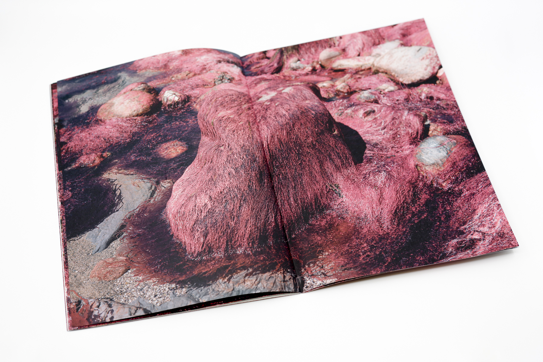 Red Creek Zine