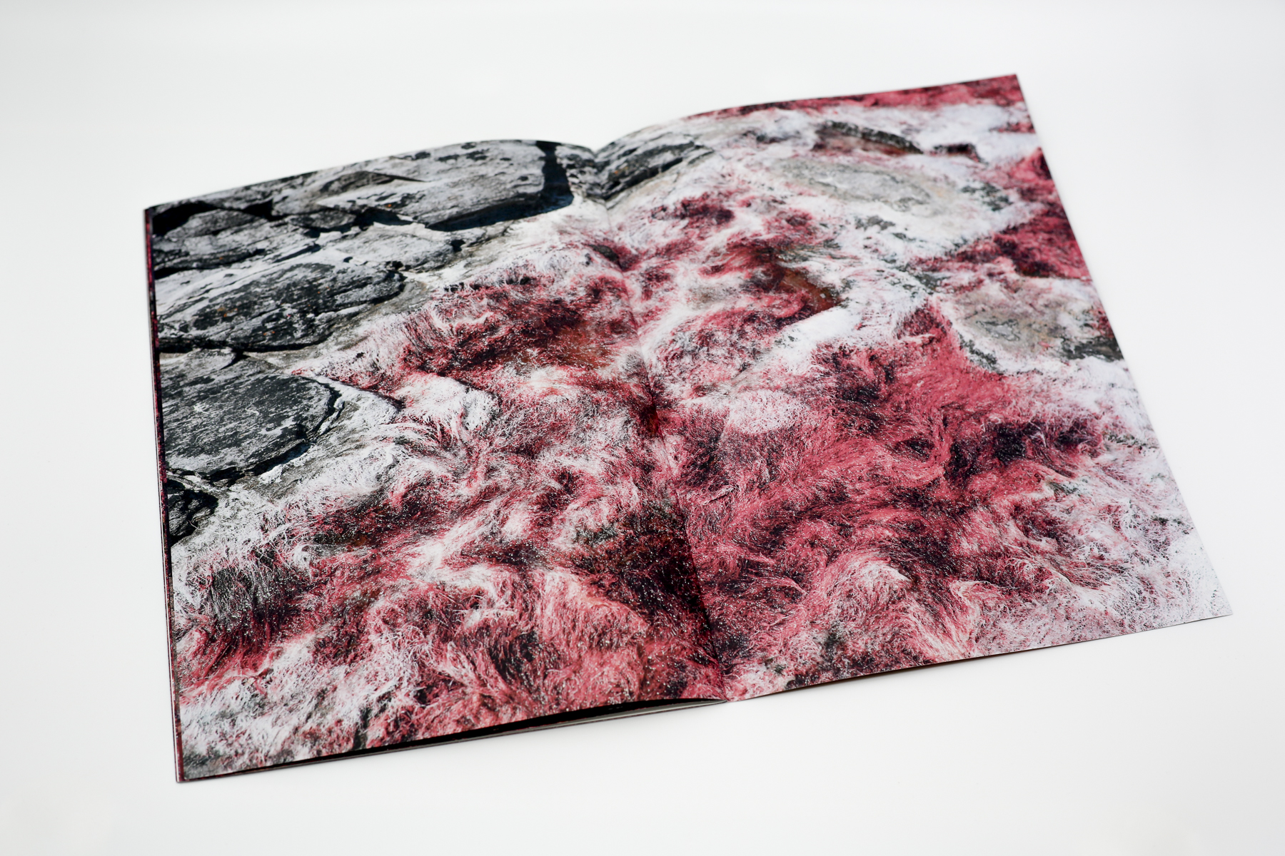 Red Creek Zine